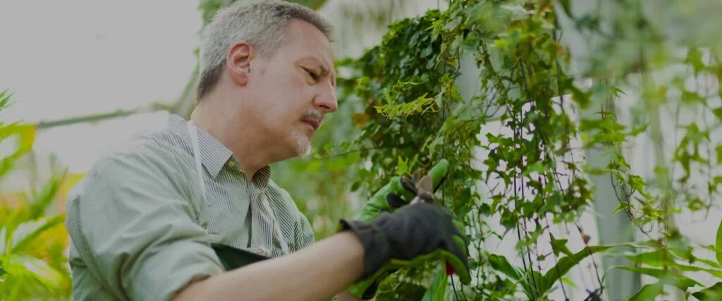 تصميم حدائق منزلية بافضل الطرق العصرية الحديثة - تاج الحدائق لتنسيق الحدائق في السعودية