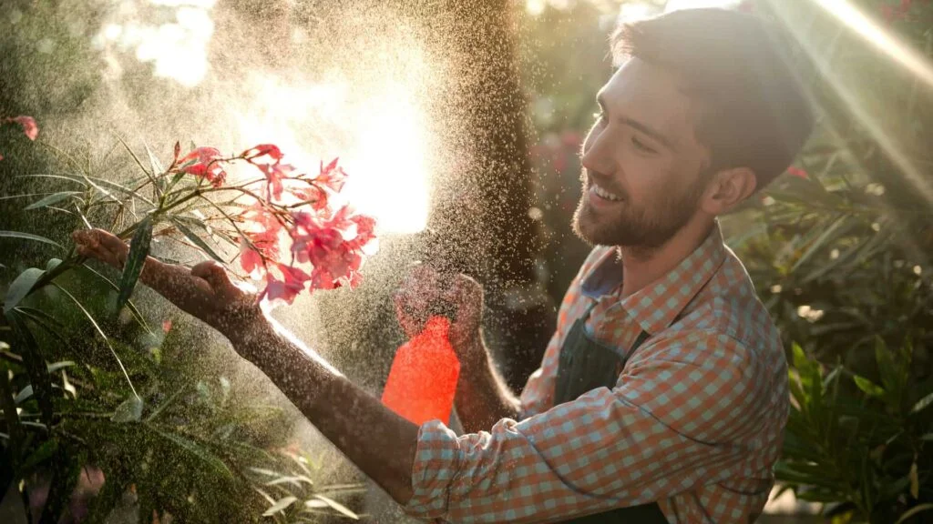 زراعة الزهور والورود والاشجار المستديمة والموسمية والنخيل - تاج الحدائق لتنسيق الحدائق في السعودية