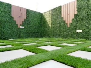 العشب الجداري