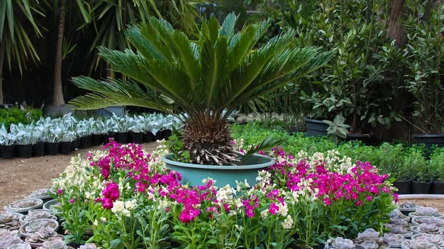 تنسيق حدائق بالرياض