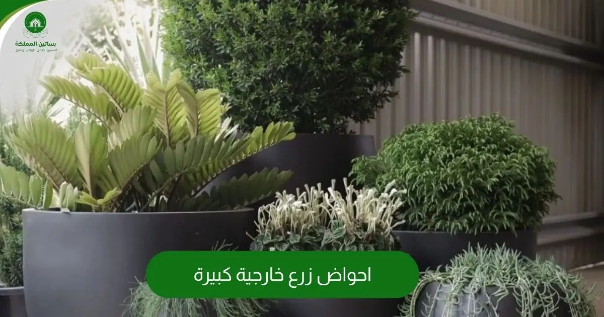 احواض زرع خارجية كبيرة