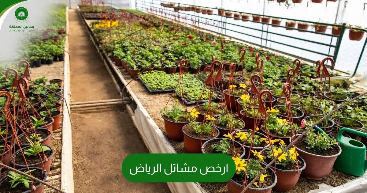 ارخص مشاتل الرياض