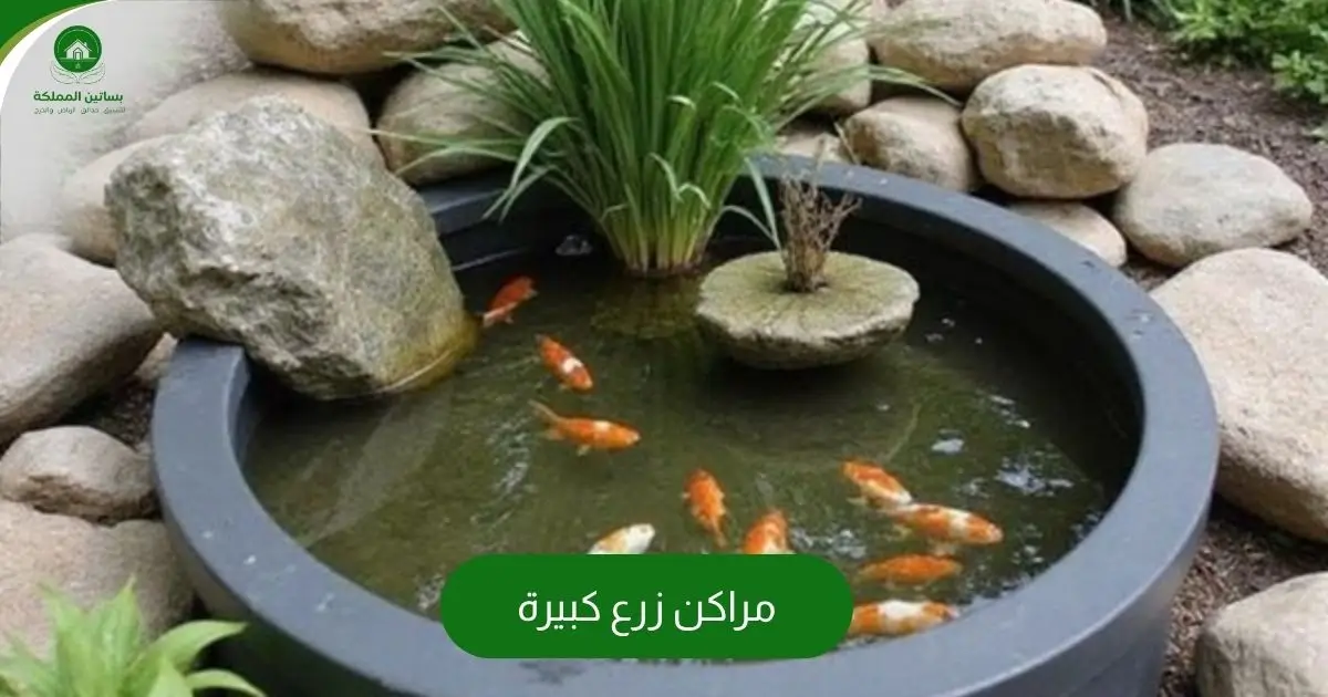 مراكن زرع كبيرة