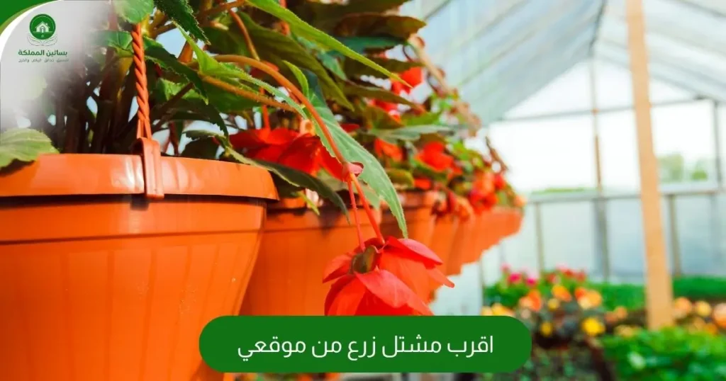 اقرب مشتل زرع من موقعي